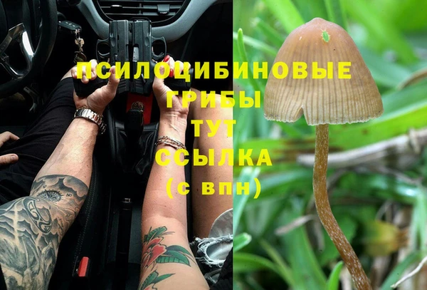 МДМА Каменск-Шахтинский