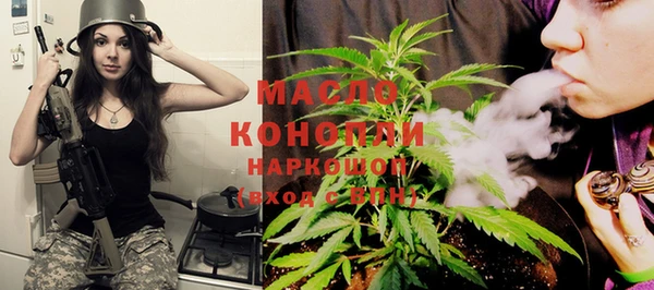 мдпв Карпинск